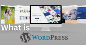 Read more about the article What Is WordPress –  Guide For Beginners