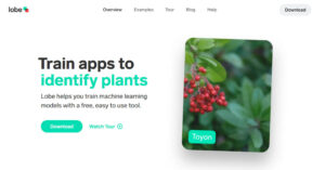 Read more about the article Lobe – Create Your Own Machine Learning Models